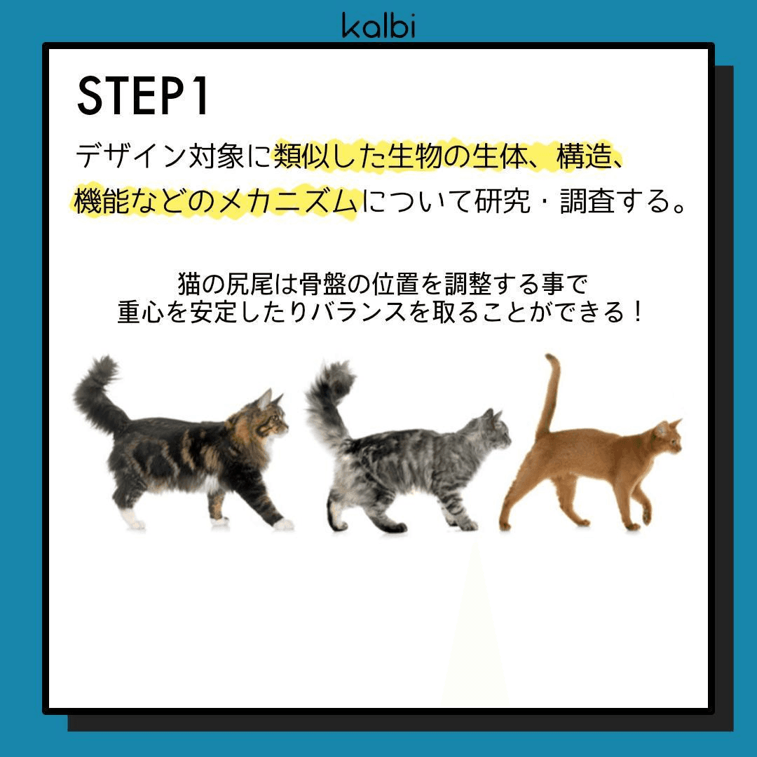 デザイン対象に類似した生物の生体、構造、機能などのメカニズムについて研究・調査する。